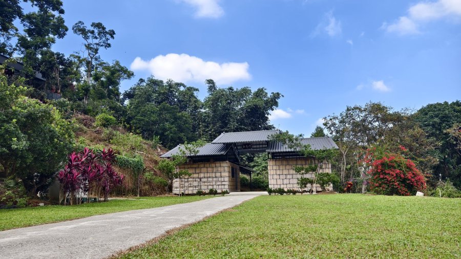 橄欖園森林度假民宿