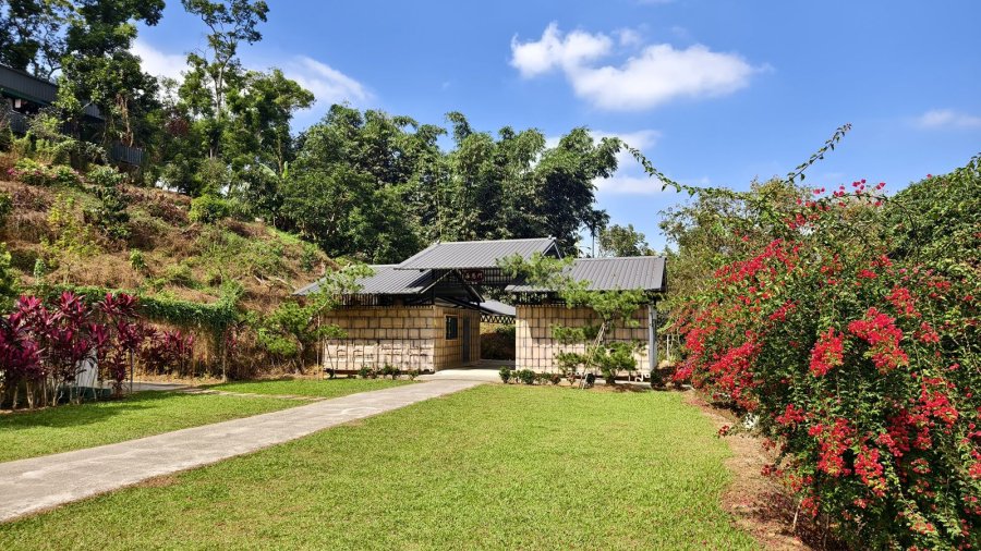 橄欖園森林度假民宿