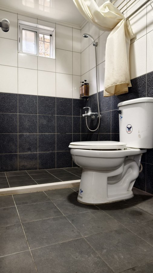 橄欖園森林度假民宿