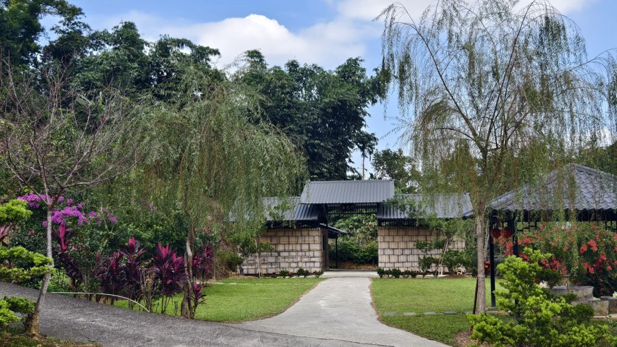 橄欖園森林度假民宿