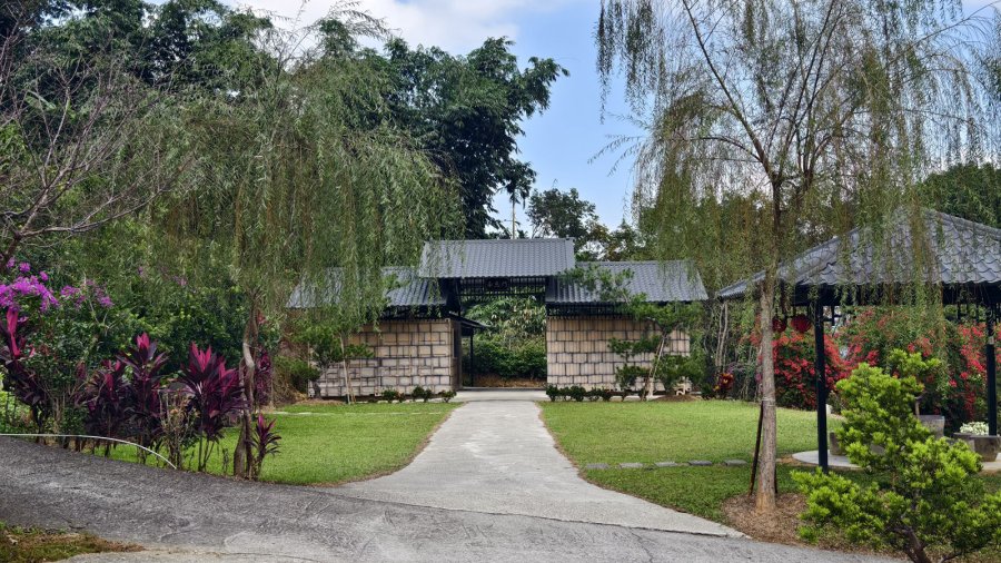 橄欖園森林度假民宿