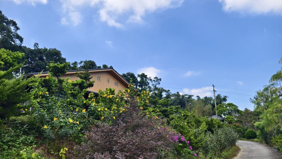 橄欖園森林度假民宿
