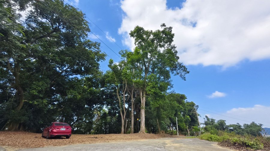 橄欖園森林度假民宿