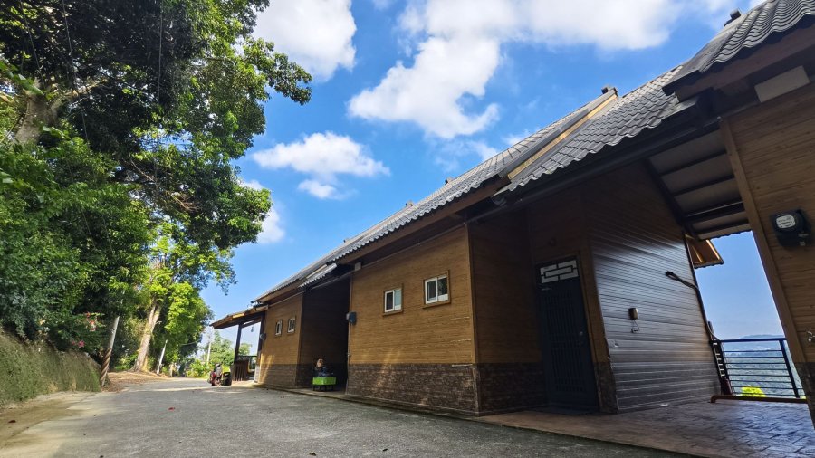 橄欖園森林度假民宿