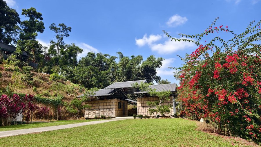 橄欖園森林度假民宿