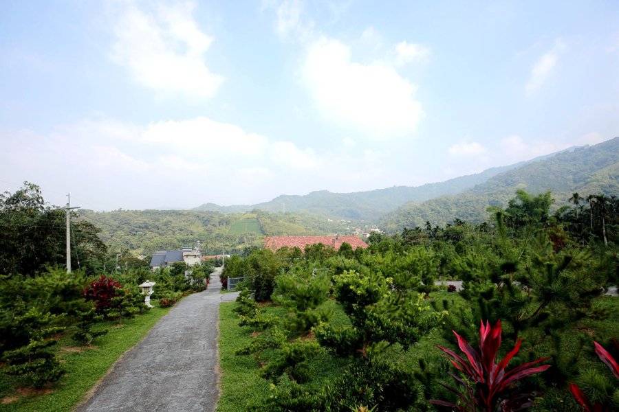 橄欖園森林度假民宿