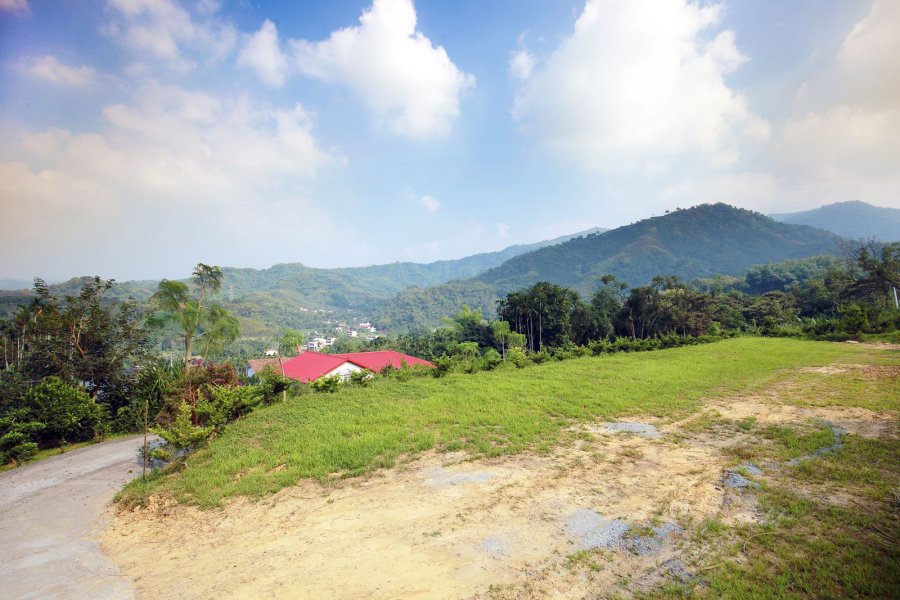 橄欖園森林度假民宿