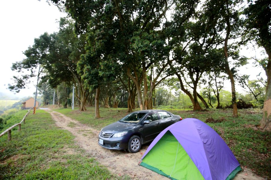 橄欖園森林度假民宿