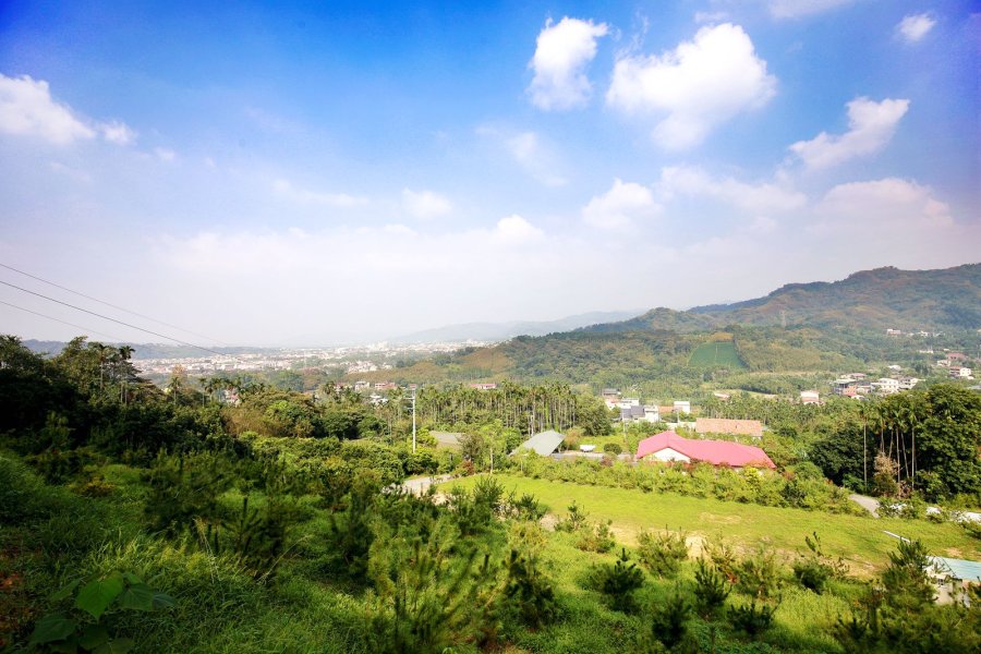 橄欖園森林度假民宿