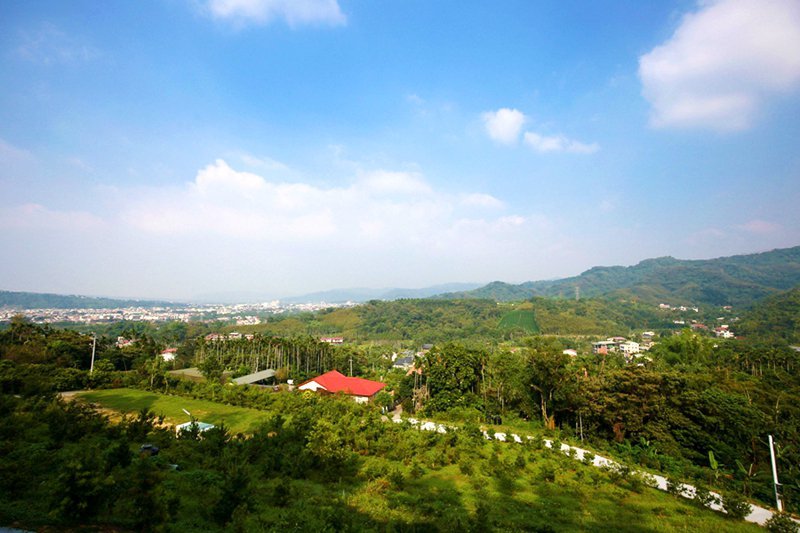 橄欖園森林度假民宿