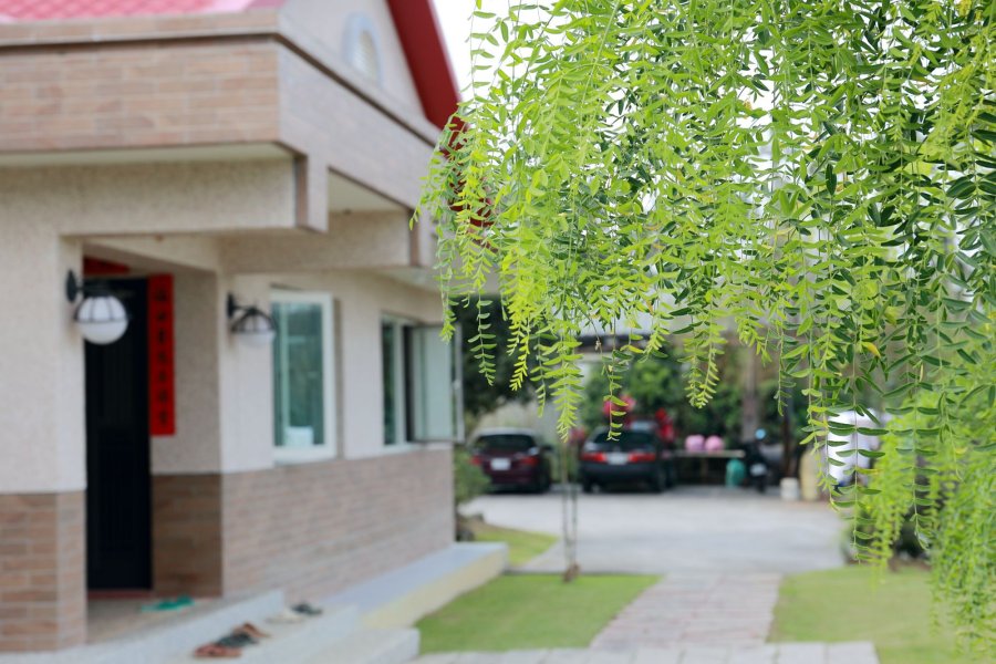 橄欖園森林度假民宿