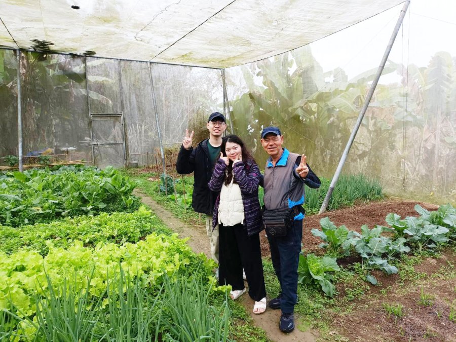 橄欖園森林度假民宿