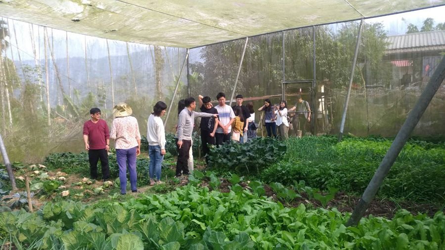 橄欖園森林度假民宿
