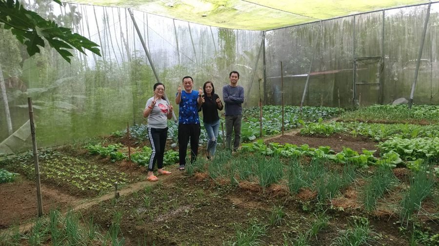 橄欖園森林度假民宿