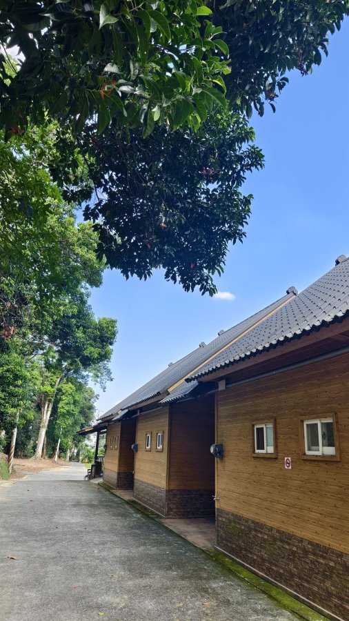 橄欖園森林度假民宿