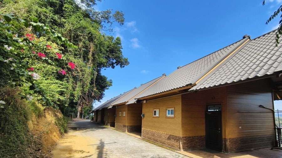 橄欖園森林度假民宿