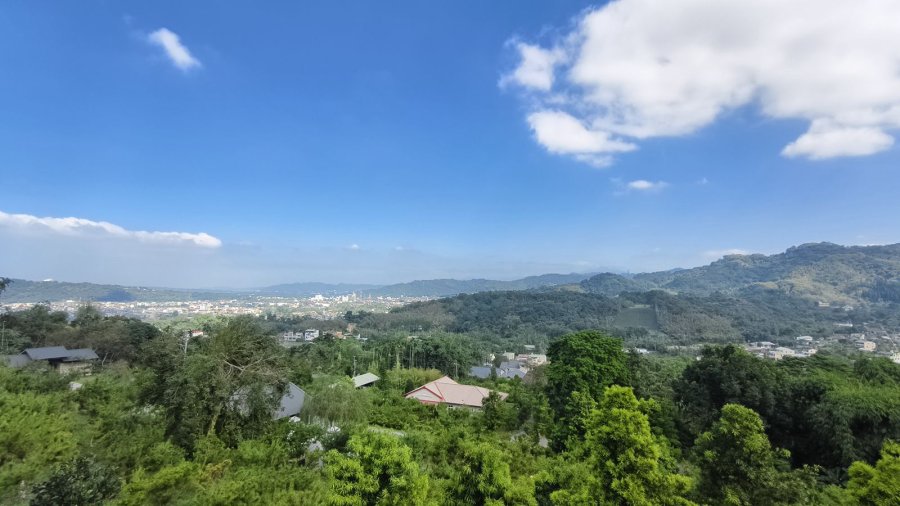 橄欖園森林度假民宿