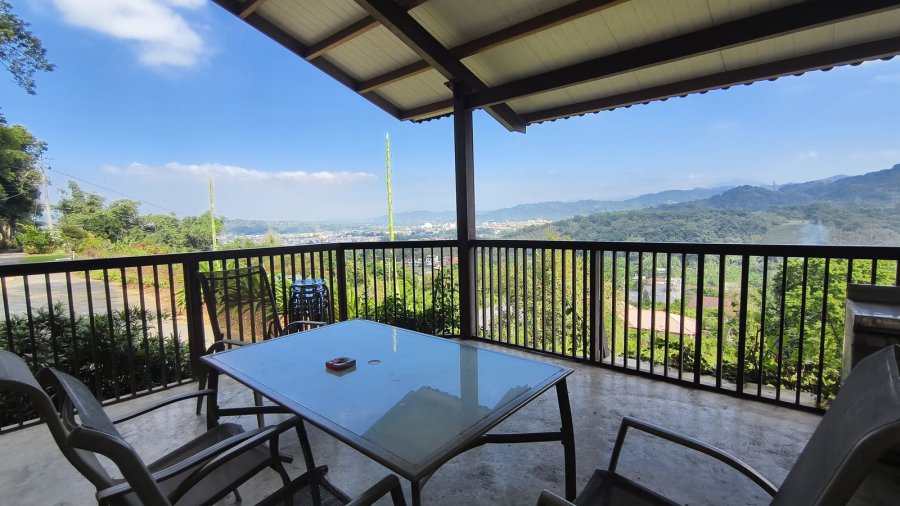 橄欖園森林度假民宿