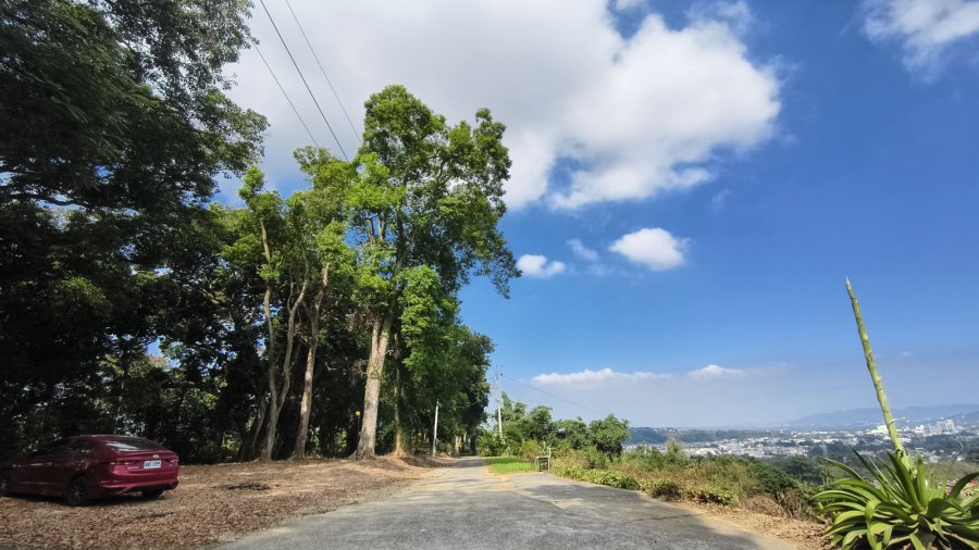 橄欖園森林度假民宿