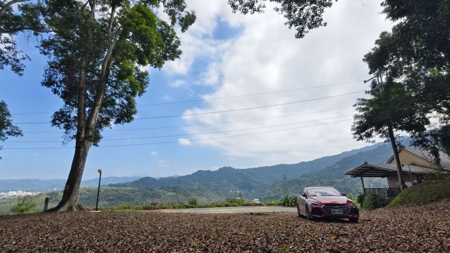 橄欖園森林度假民宿