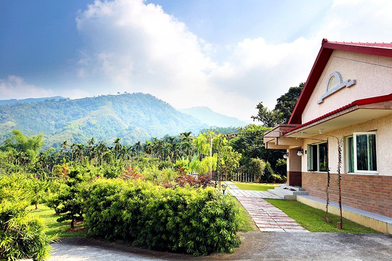 橄欖園森林度假民宿