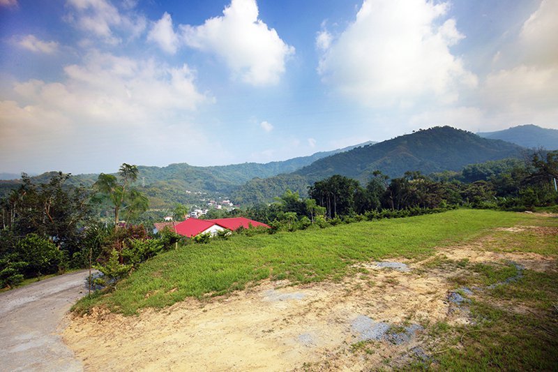橄欖園森林度假民宿