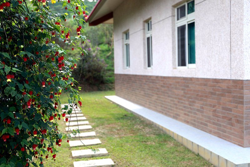 橄欖園森林度假民宿