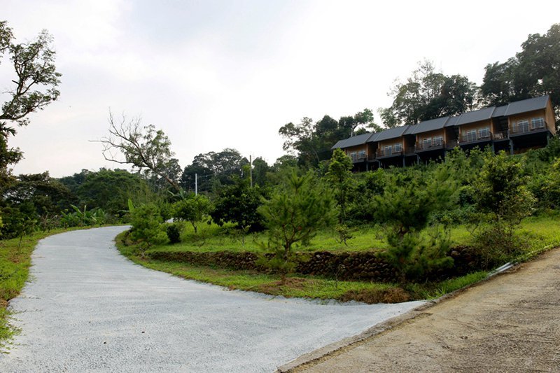 橄欖園森林度假民宿