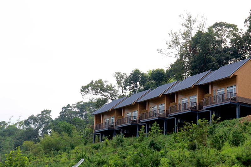 橄欖園森林度假民宿