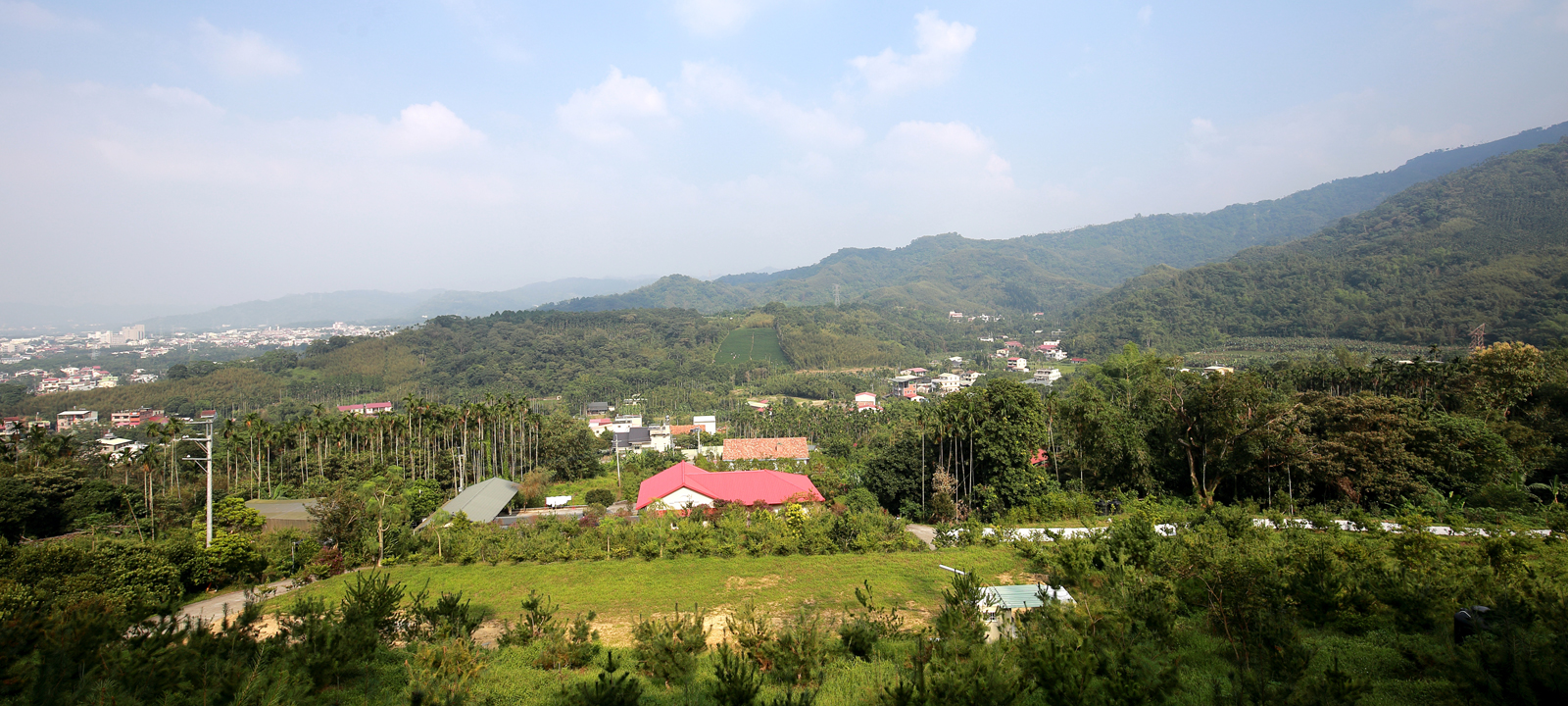 橄欖園森林度假民宿