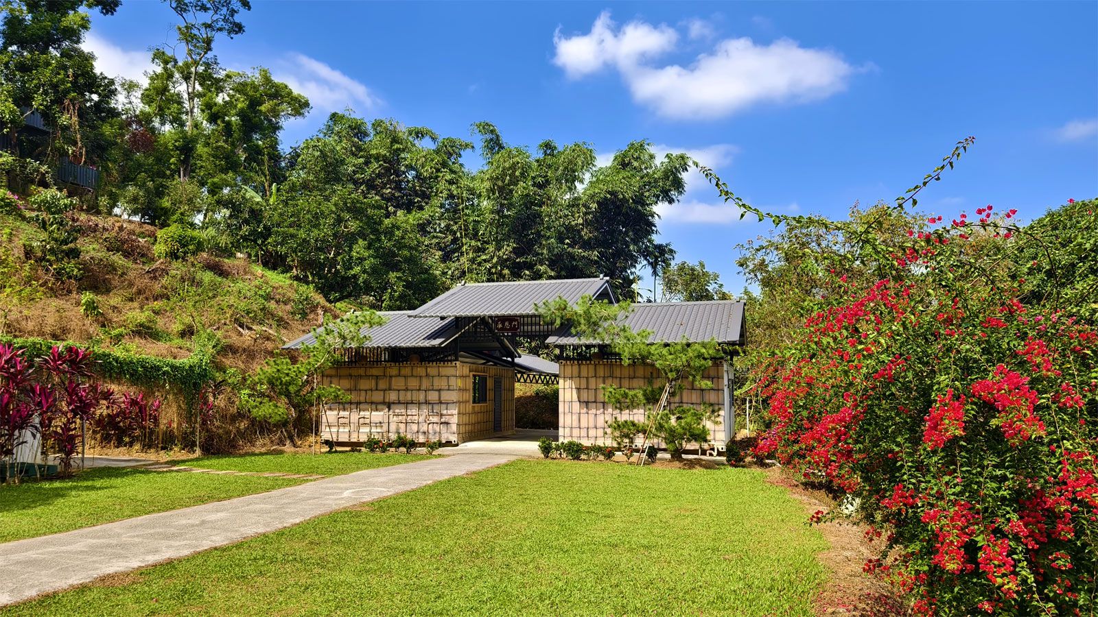 橄欖園森林度假民宿輪播大圖第4張