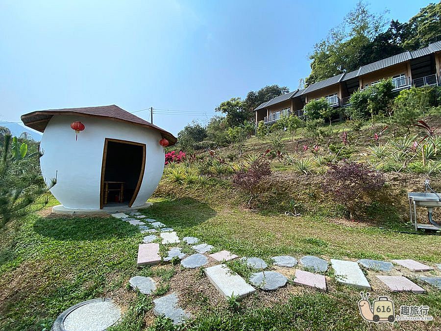 從橄欖園出發，玩遍溪頭與竹山天梯