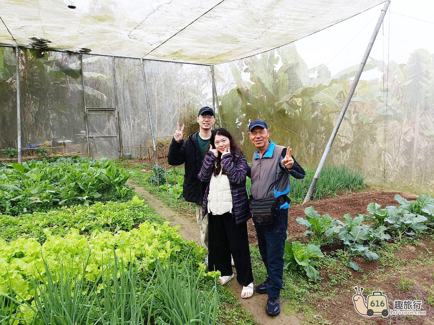 橄欖園森林度假民宿 溫室無毒菜園