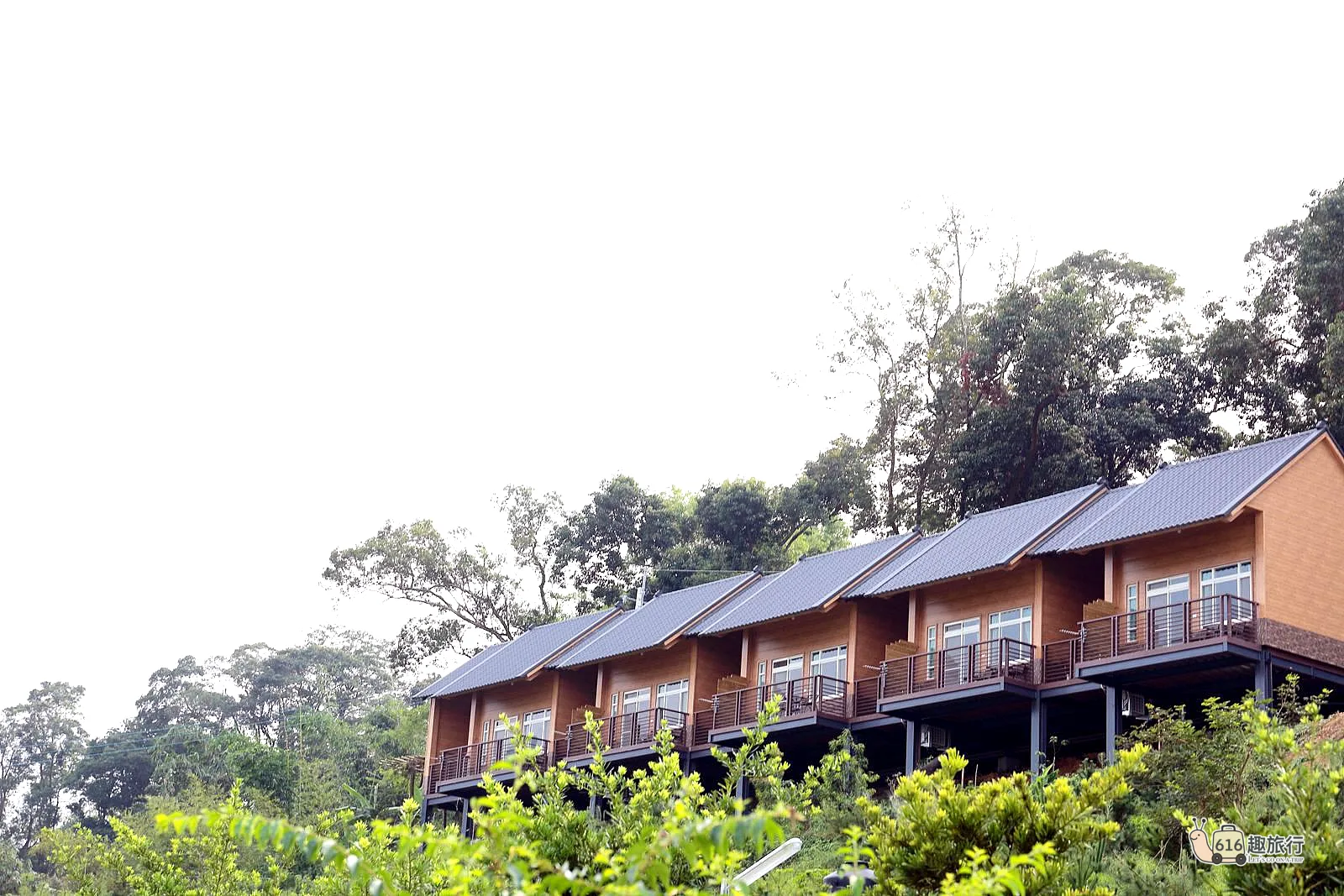 橄欖樹一館包區