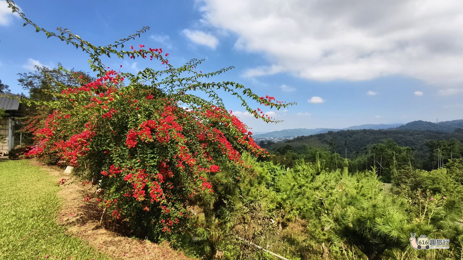 橄欖樹三館包區 - 房型照片