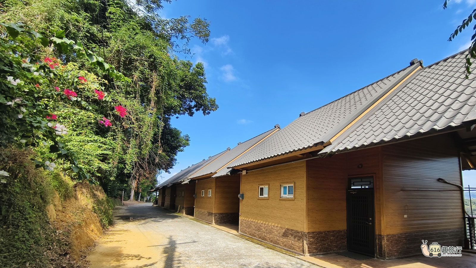 橄欖樹一館包區